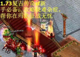 1.73复古传奇sf新手必备：攻略疑难杂症，帮你在玛法征战无忧