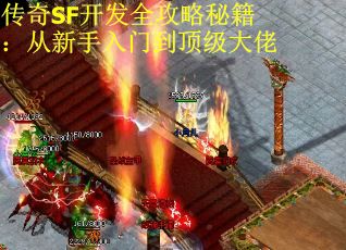 传奇SF开发全攻略秘籍：从新手入门到顶级大佬