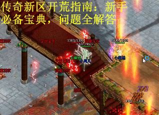 传奇新区开荒指南：新手必备宝典，问题全解答