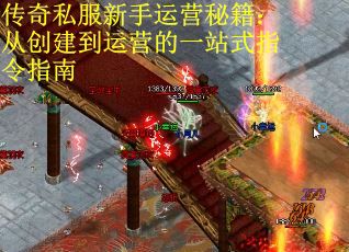 传奇私服新手运营秘籍：从创建到运营的一站式指令指南