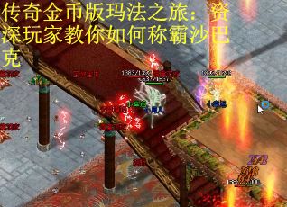 传奇金币版玛法之旅：资深玩家教你如何称霸沙巴克