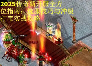 2025传奇新开服全方位指南：选服技巧与冲级打宝实战攻略