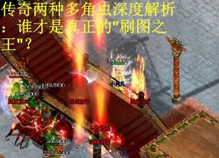 传奇两种多角虫深度解析：谁才是真正的"刷图之王"？