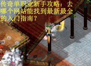 传奇单职业新手攻略：去哪个网站能找到最新最全的入门指南？