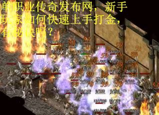 单职业传奇发布网，新手玩家如何快速上手打金，有秘诀吗？