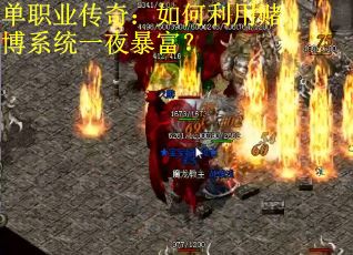 单职业传奇：如何利用赌博系统一夜暴富？