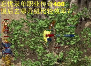 忘忧录单职业传奇400级后去哪升级比较效率？
